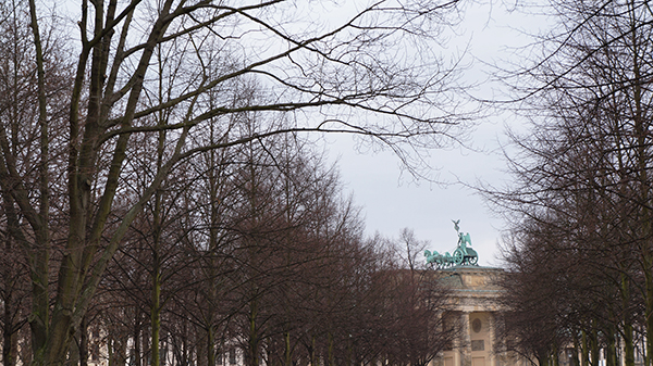 Tiergarten