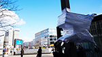 Street Art in Alexanderplatz